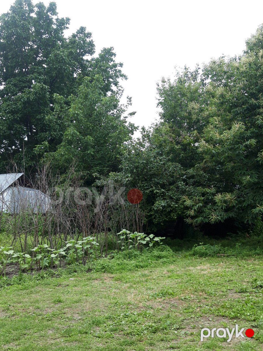 Həyət evi kirayə verilir, İsmayıllı r — Ev, villa, İsmayıllı (5)
