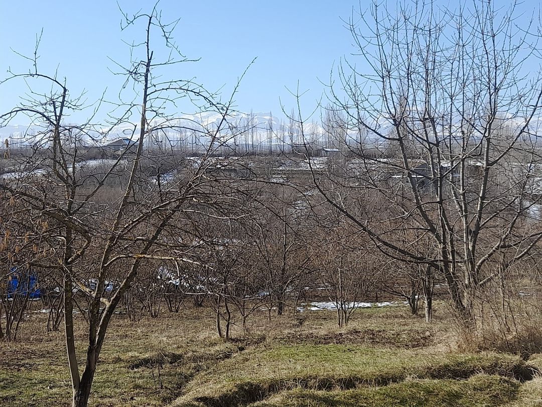 Həyət evi, Qusar r — Ev, villa, Qusar (5)