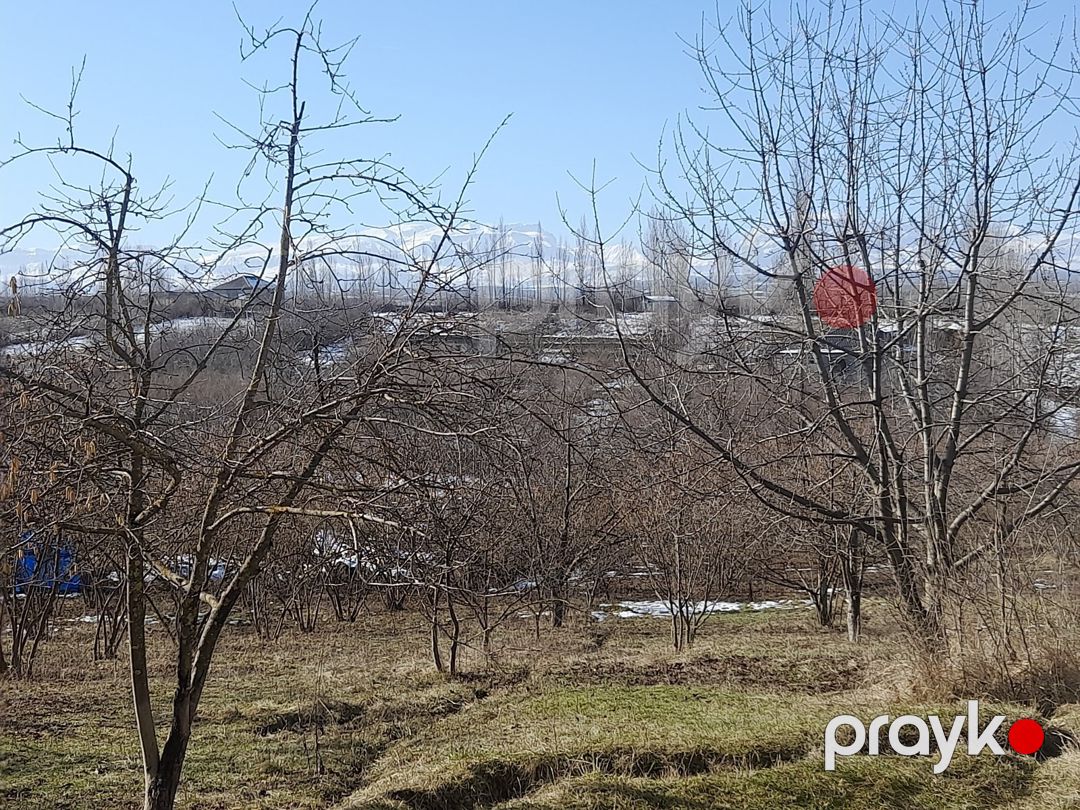 Həyət evi, Qusar r — Ev, villa, Qusar (5)
