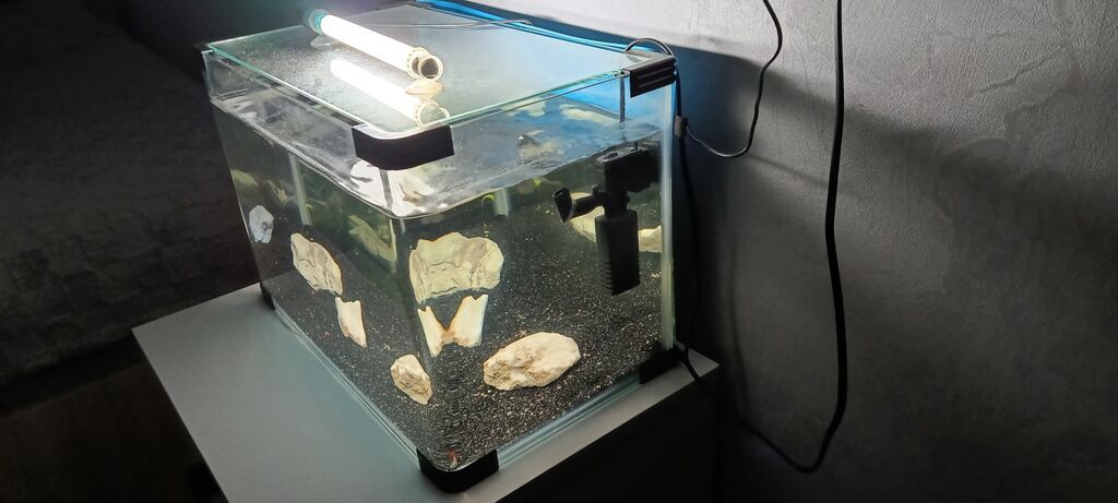 Dördbucaq akvarium, Boş, 33 l, Ünvandan götürmə — Akvariumlar və balıqlar, Bakı (3)