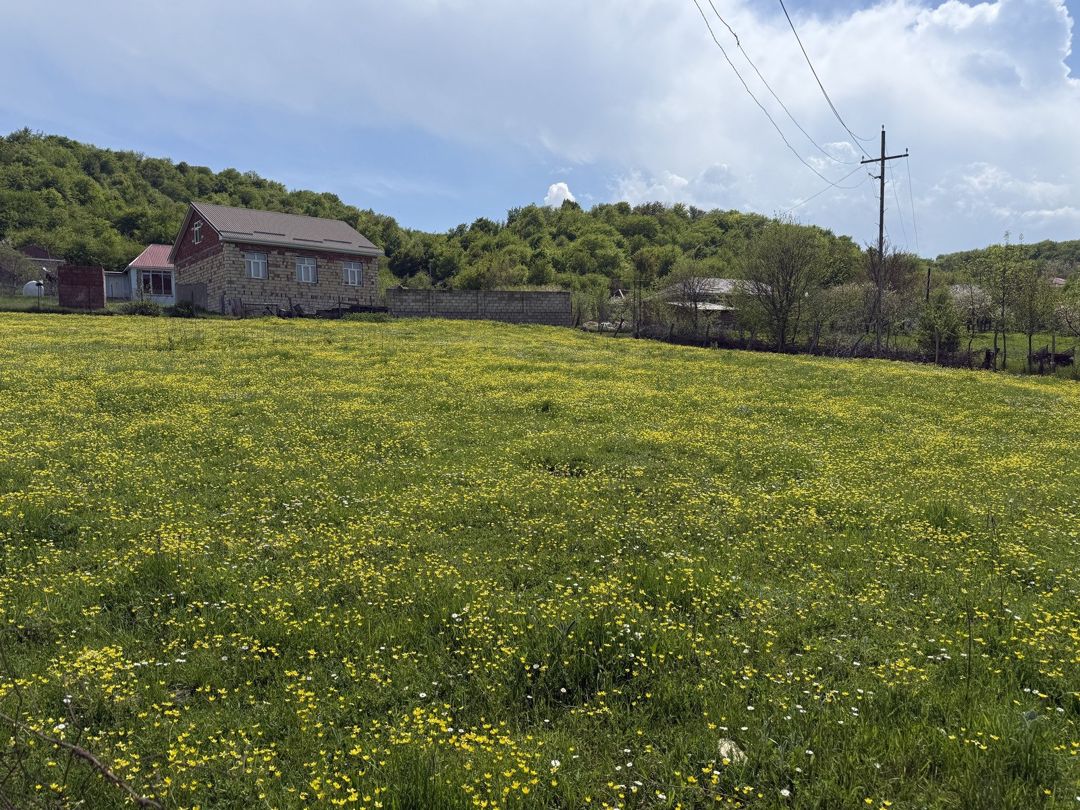 Satılır torpaq 6 sot — Torpaq, Qusar (8)