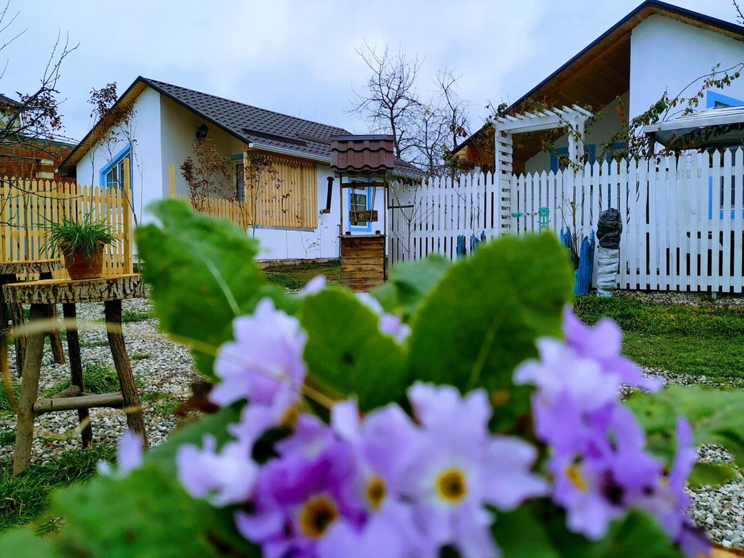 Bağ evi kirayə verilir, Qusar r — Ev, villa, Qusar (11)