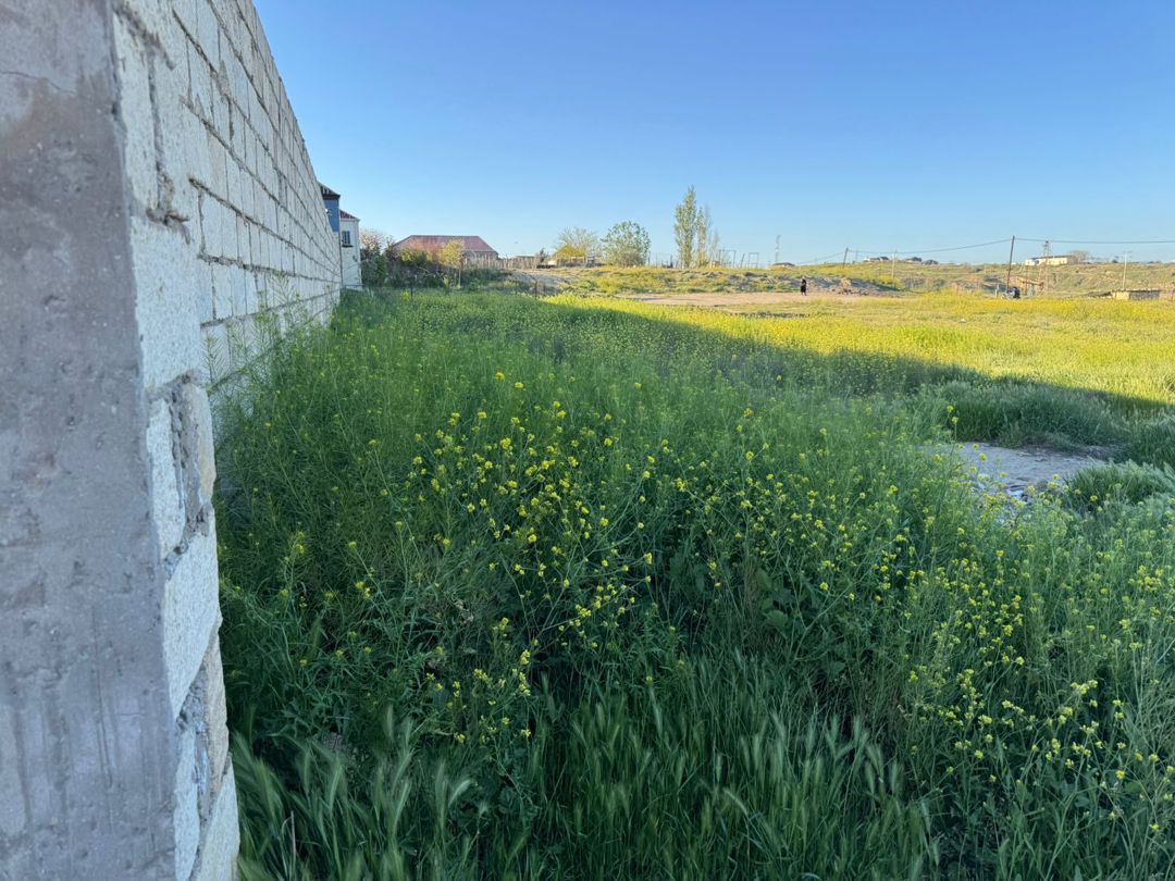 Satılır torpaq 6 sot — Torpaq, Bakı (2)