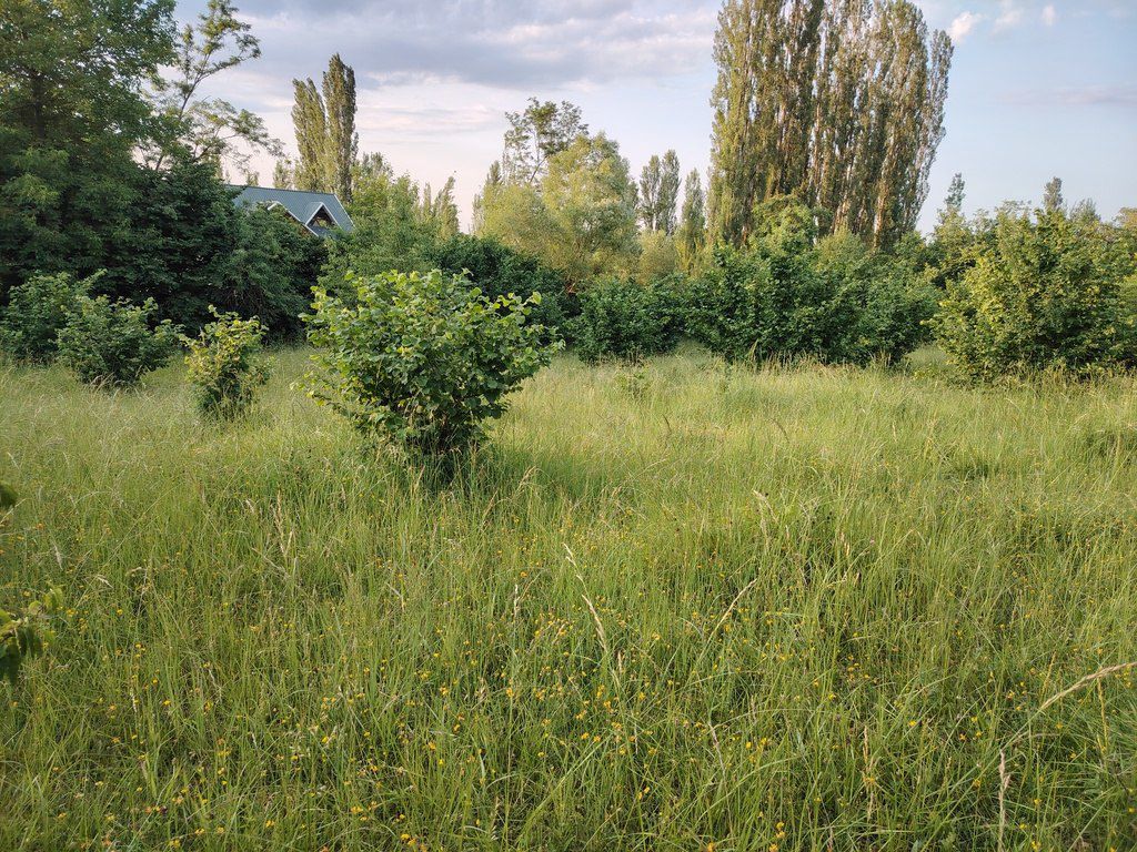 30 sot torpaq sahəsi, Qusar r — Torpaq, Qusar (4)