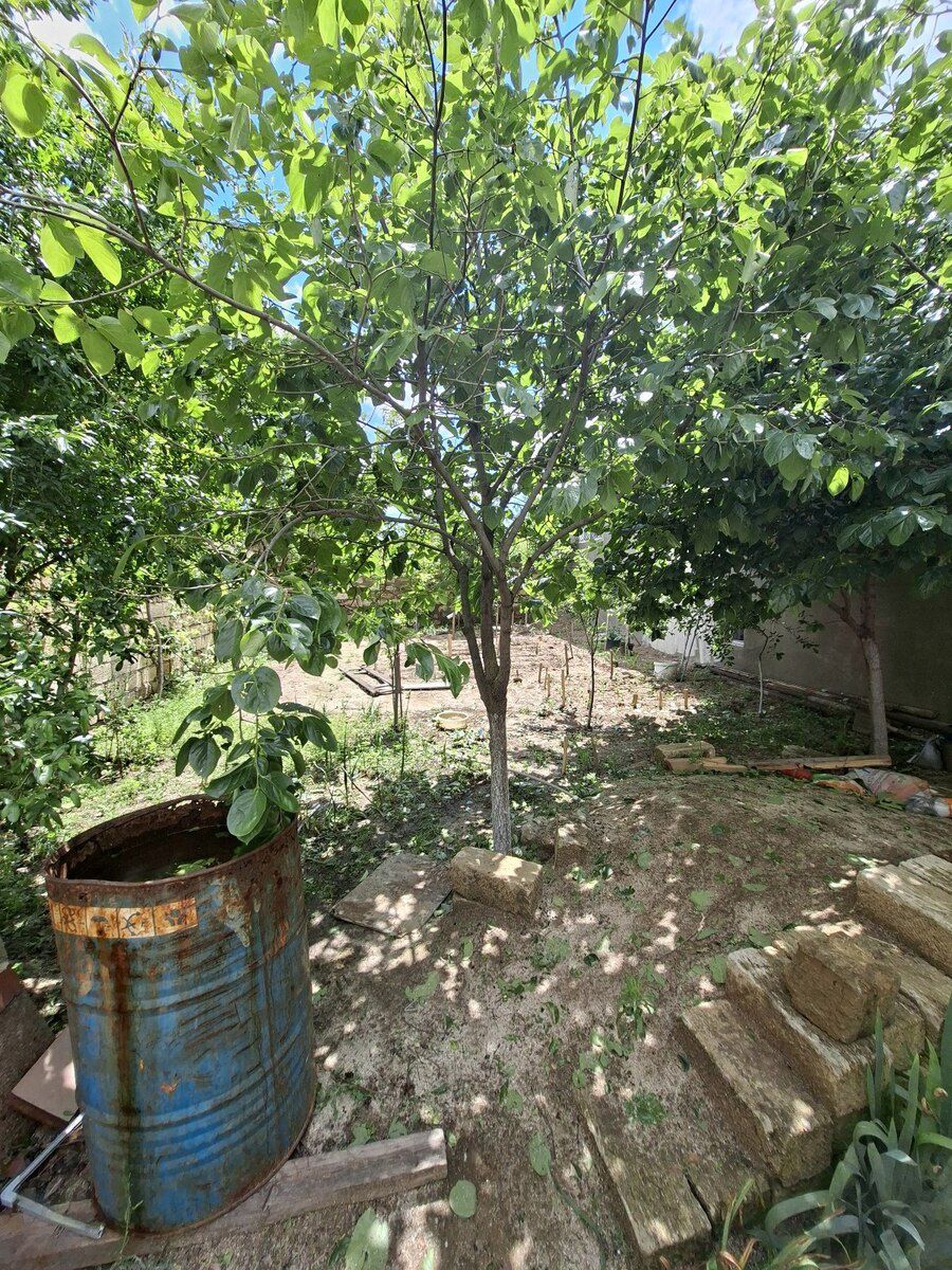 Həyət evi, Sumqayıt ş — Ev, villa, Sumqayıt (6)