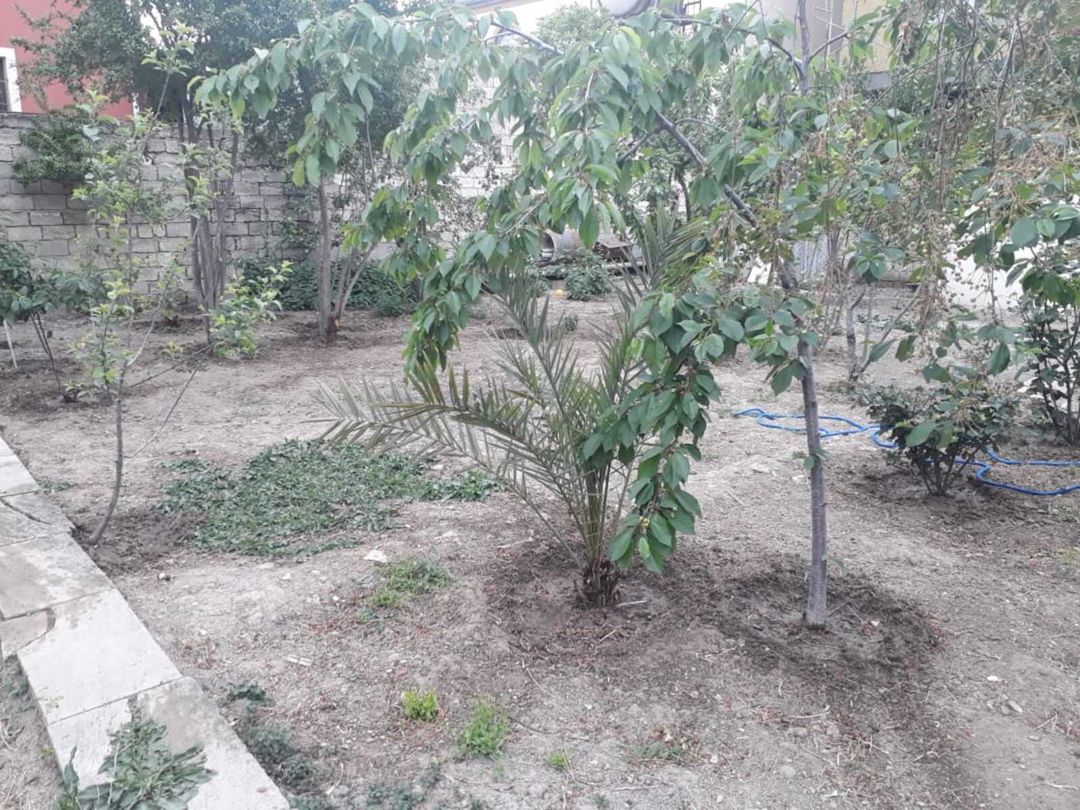 Satılır torpaq 5 sot — Torpaq, Bakı (5)