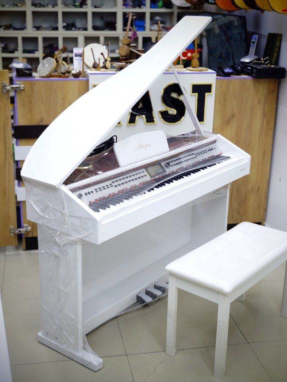 Elektro piano "Allegro RK - 222" — Musiqiə alətləri, Bakı (9)