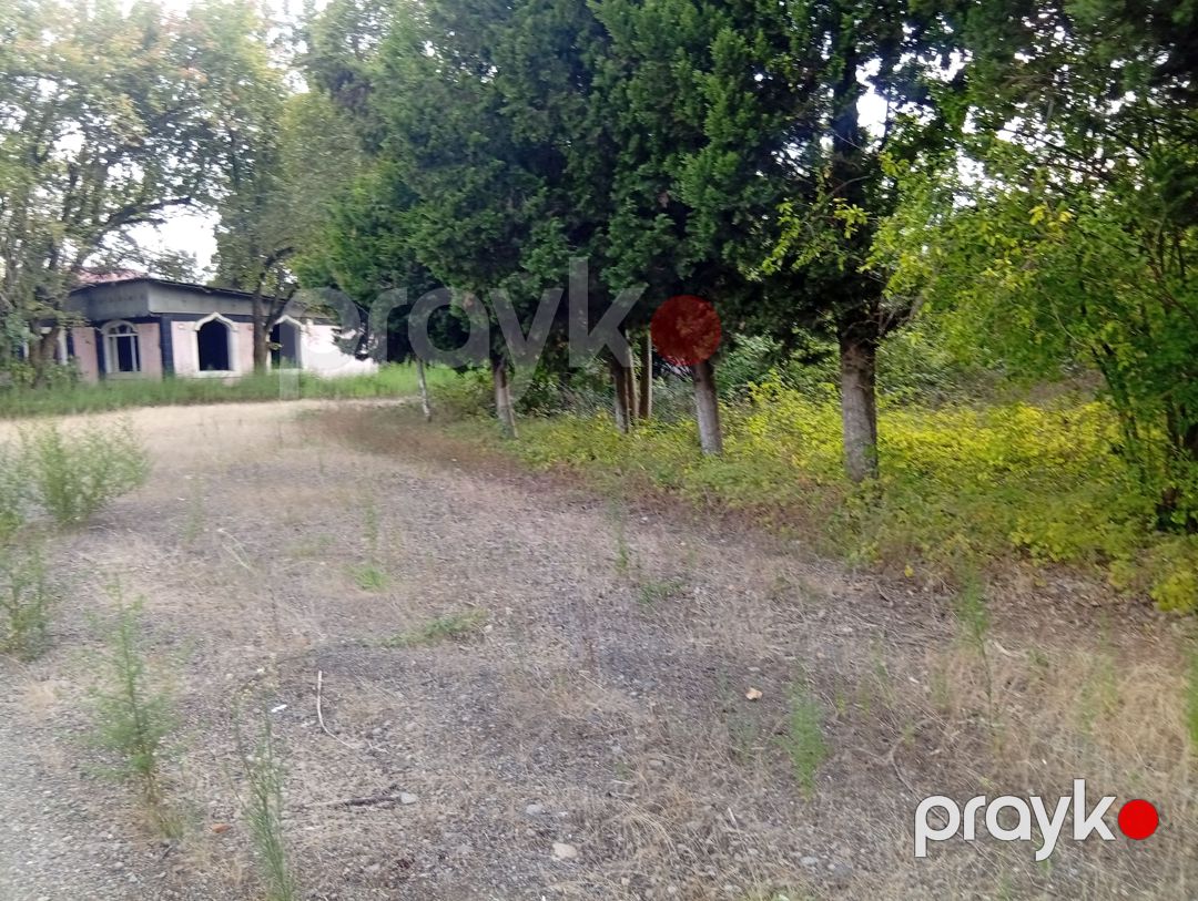 67 sotluq torpaq sahəsi satılır, Lənkəran — Torpaq, Lənkəran (6)