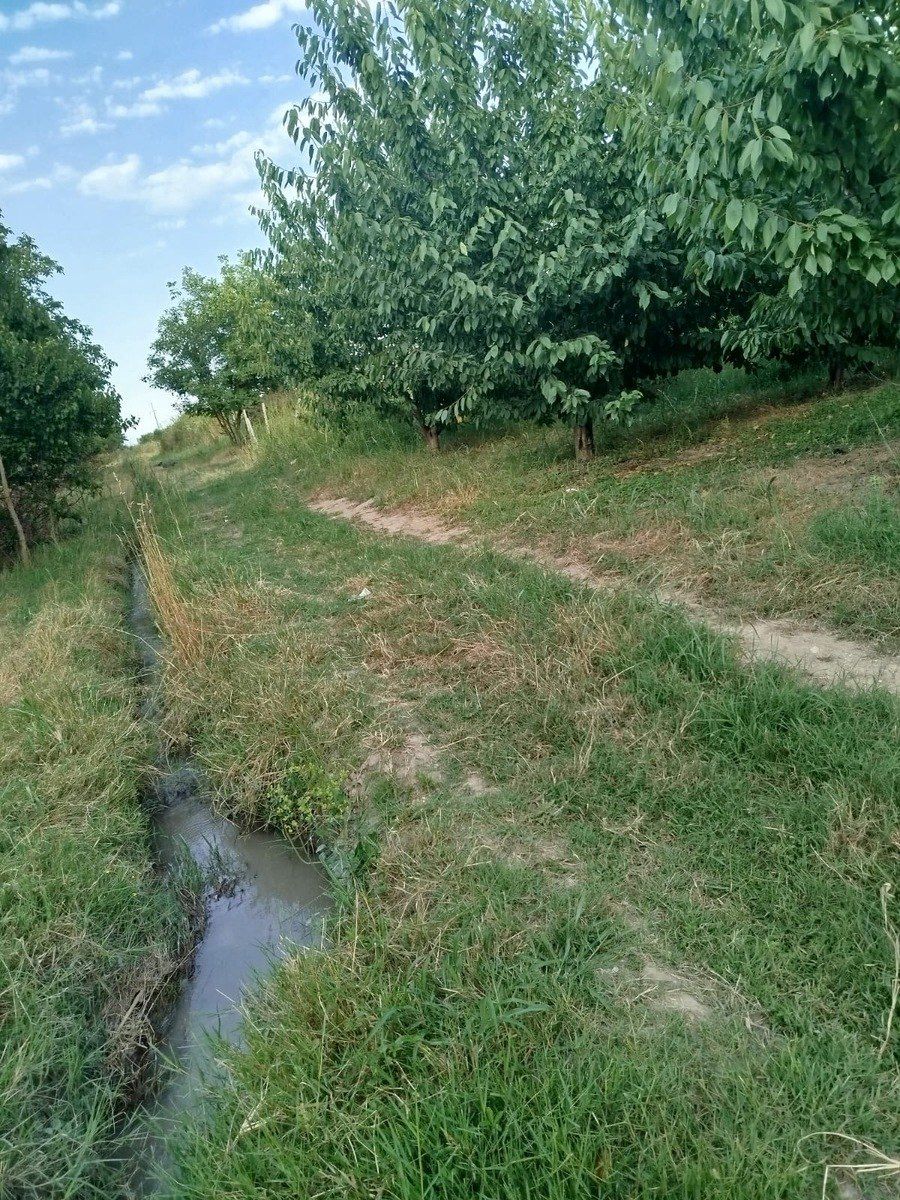 85 sot torpaq sahəsi, Qusar r — Torpaq, Qusar (4)