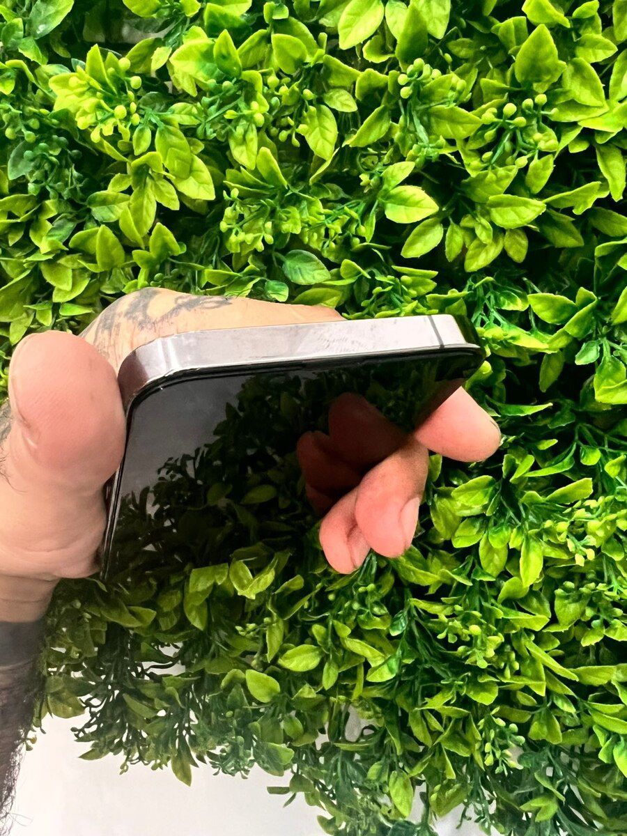 Apple iPhone 13 Pro Alpine Green 256GB/6GB — Smartfonlar, Bakı (5)