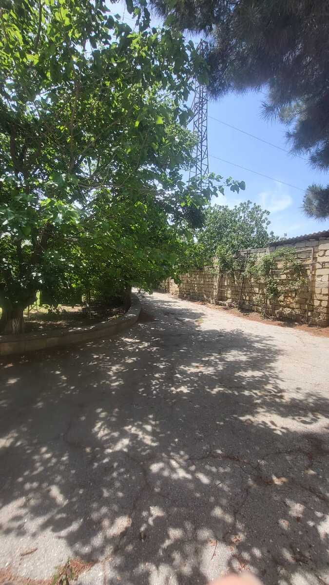 Satılır torpaq 25 sot — Torpaq, Bakı (2)