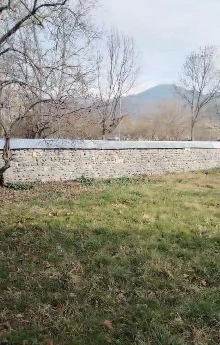 3 sot torpaq sahəsi, Nohurqışlaq k — Torpaq, Qəbələ (5)