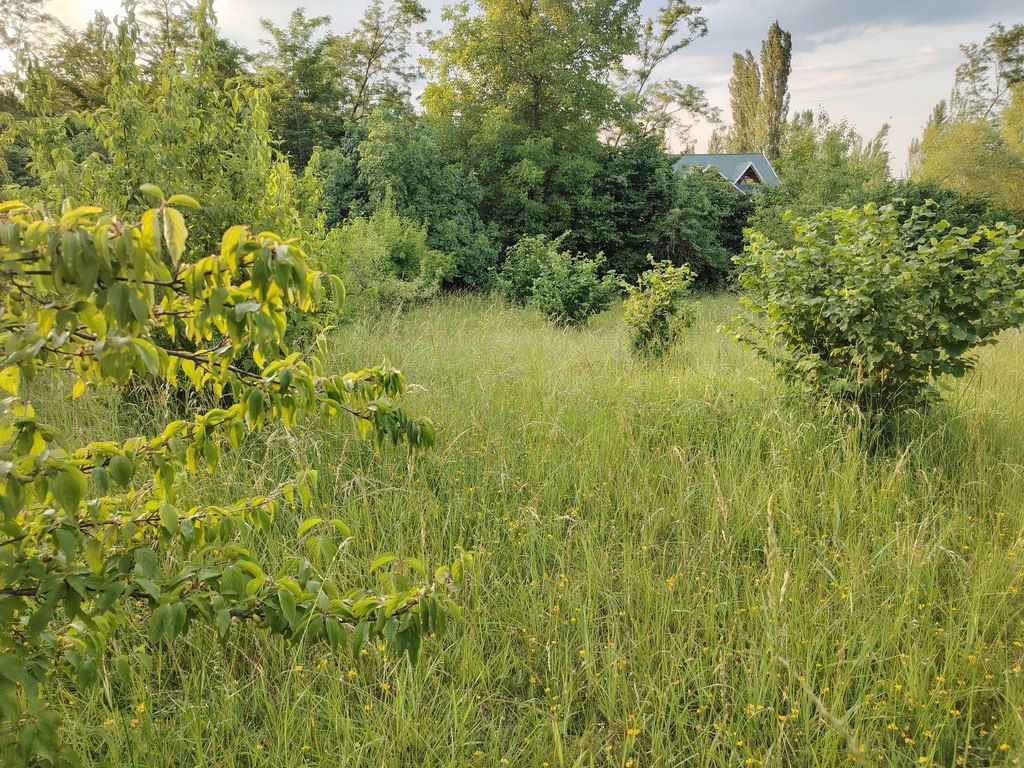 30 sot torpaq sahəsi, Qusar r — Torpaq, Qusar (3)