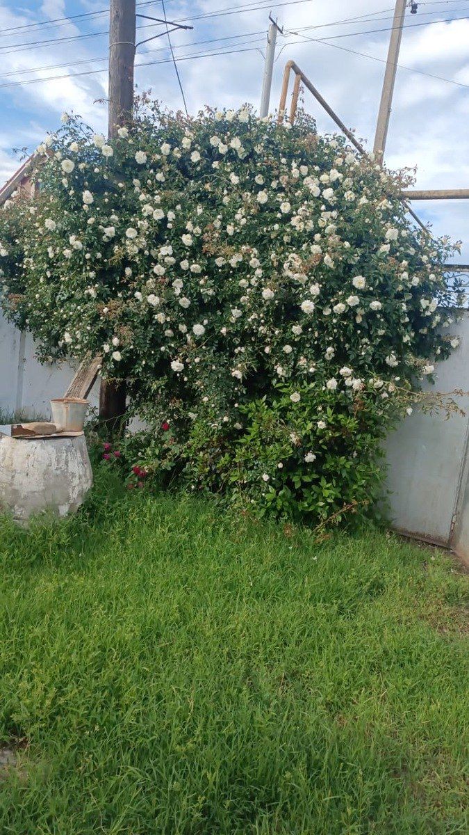 İcarəyə verilir 3 otaqlı həyət evi/bağ evi 100 m² — Ev, villa, Xaçmaz (6)