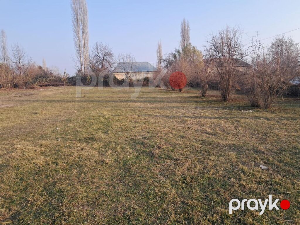 Tikinti — Torpaq, Göyçay (10)