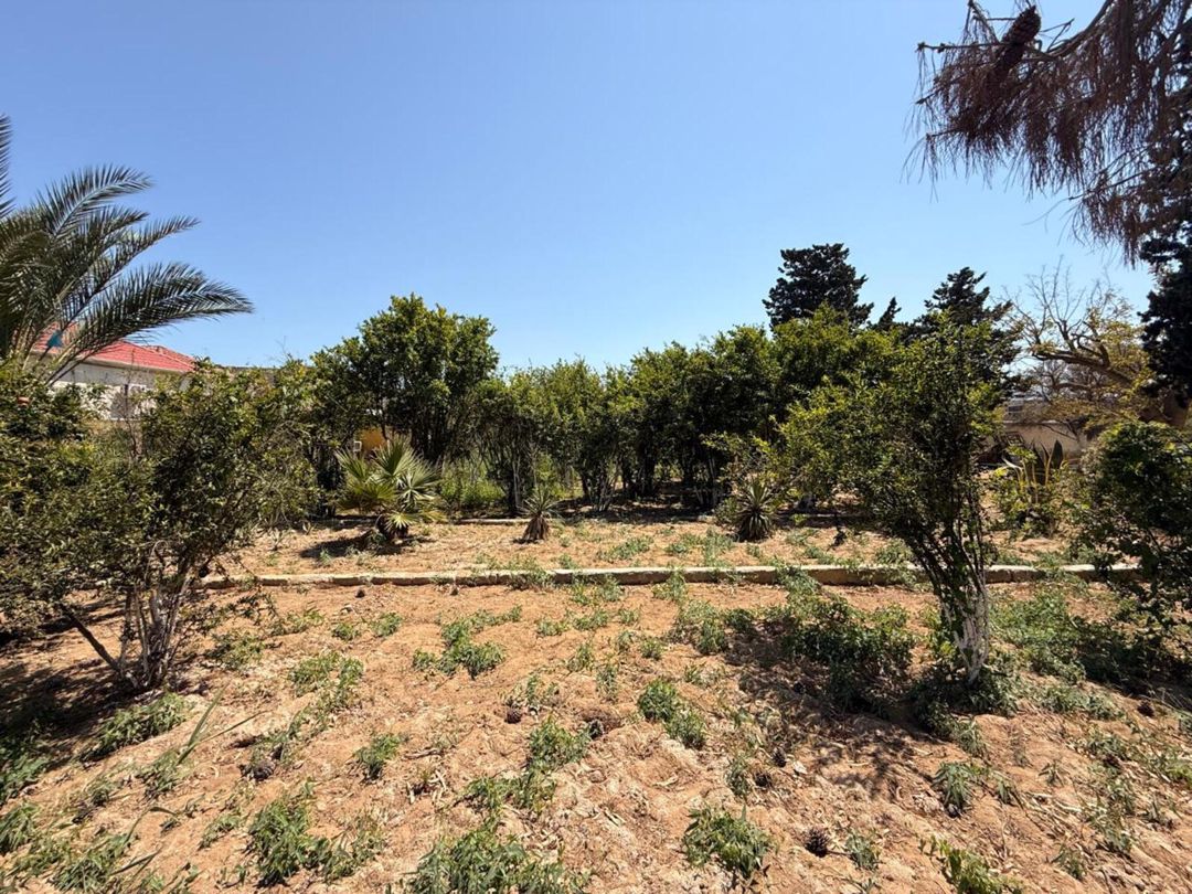 23 sot torpaq sahəsi, Mərdəkan qəs — Torpaq, Bakı (12)