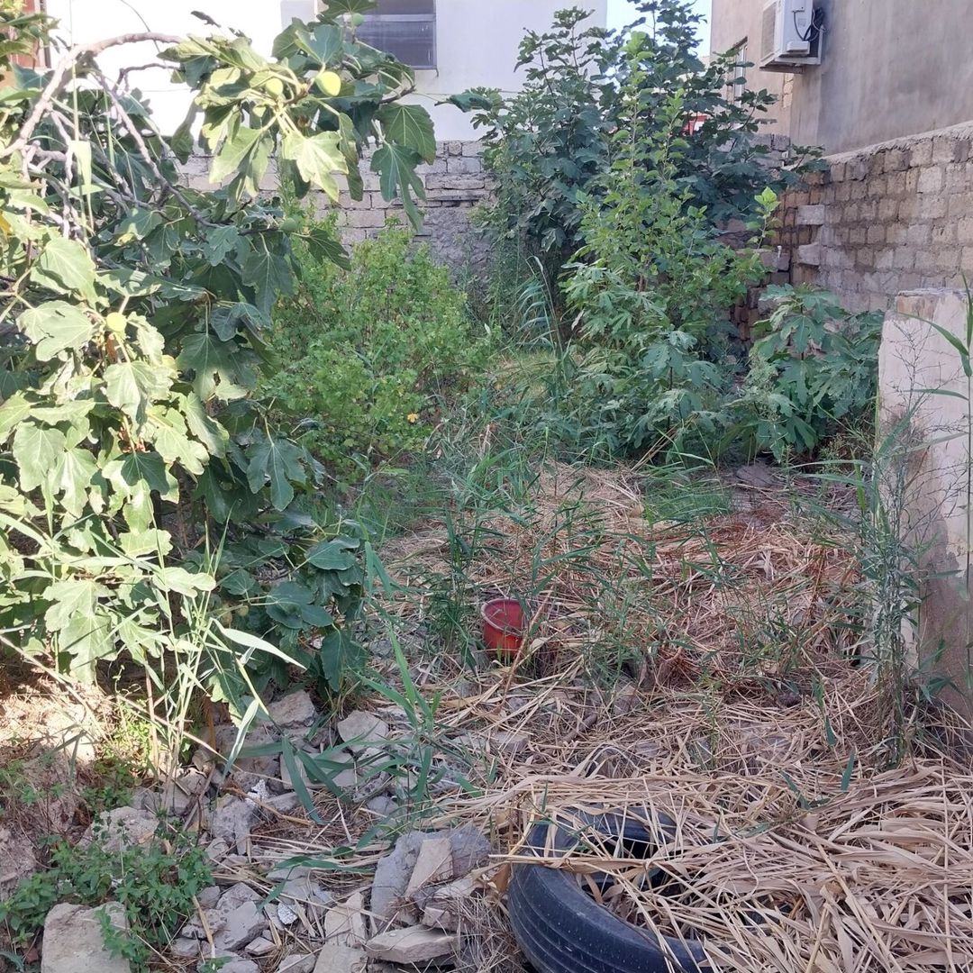 3.6 sot torpaq sahəsi, Bakıxanov qəs — Torpaq, Bakı (2)