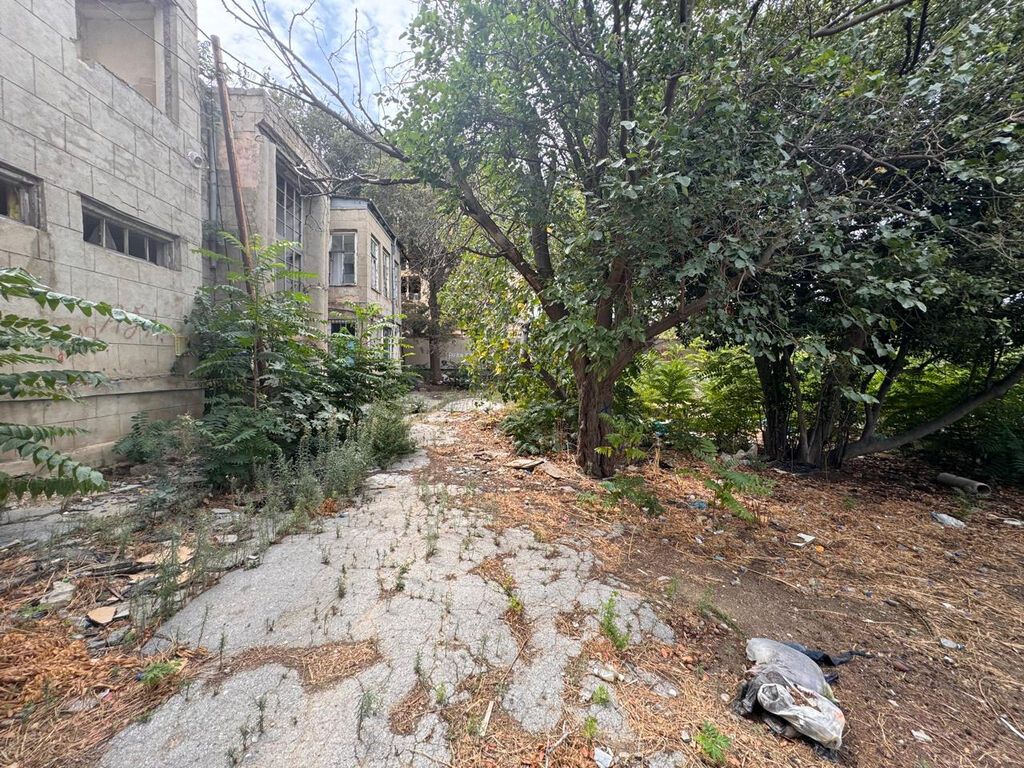 31 sot, Tikinti, Makler, Kupça (Çıxarış) — Torpaq, Bakı (2)
