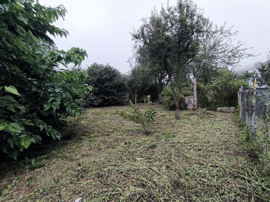 16.5 sot torpaq sahəsi, Qusar r — Torpaq, Qusar (4)