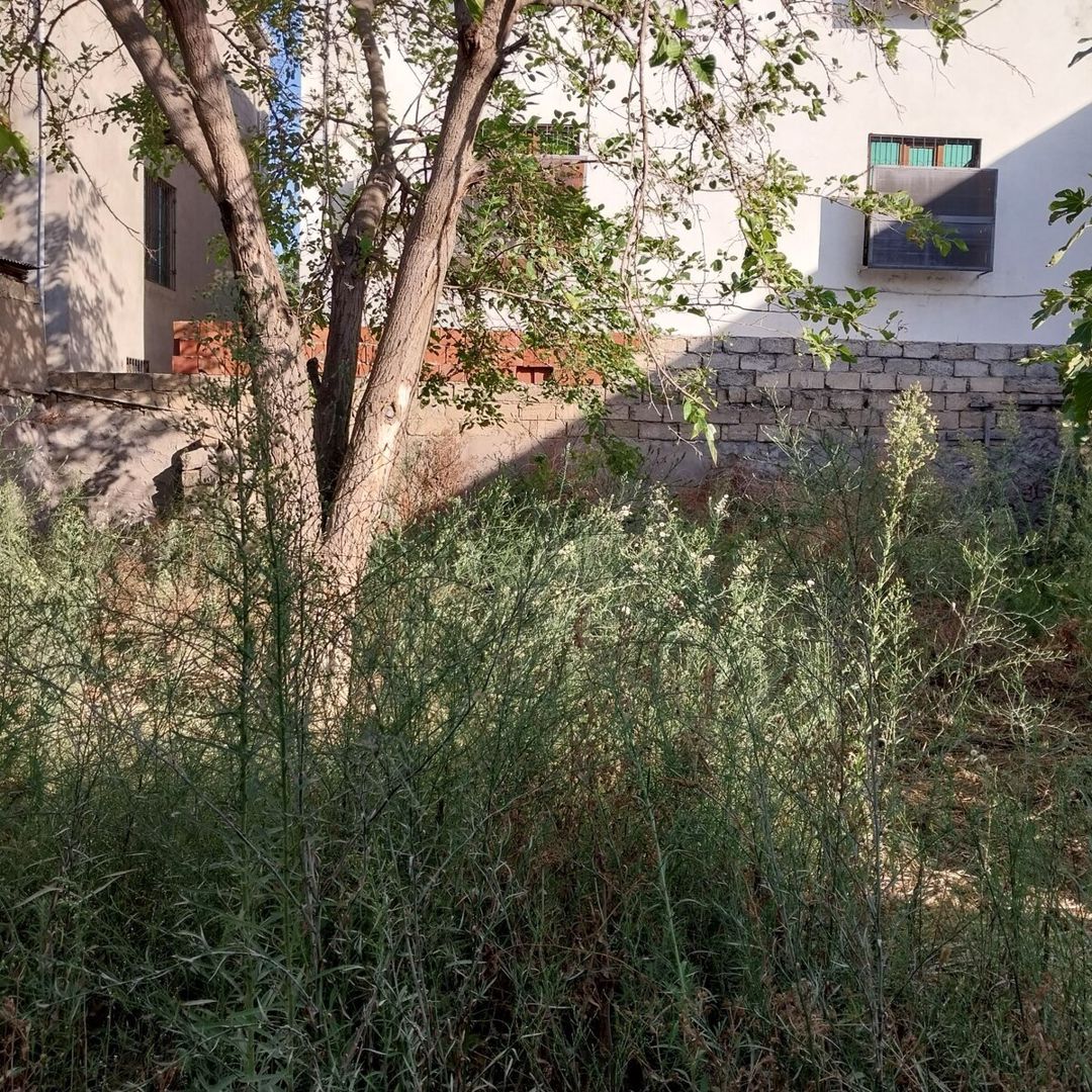 3.6 sot torpaq sahəsi, Bakıxanov qəs — Torpaq, Bakı (5)