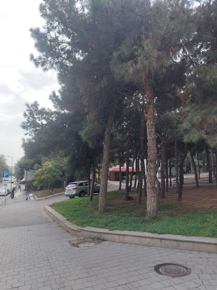 Satılır 2 otaqlı köhnə tikili 35 m² — Mənzil, Bakı (2)