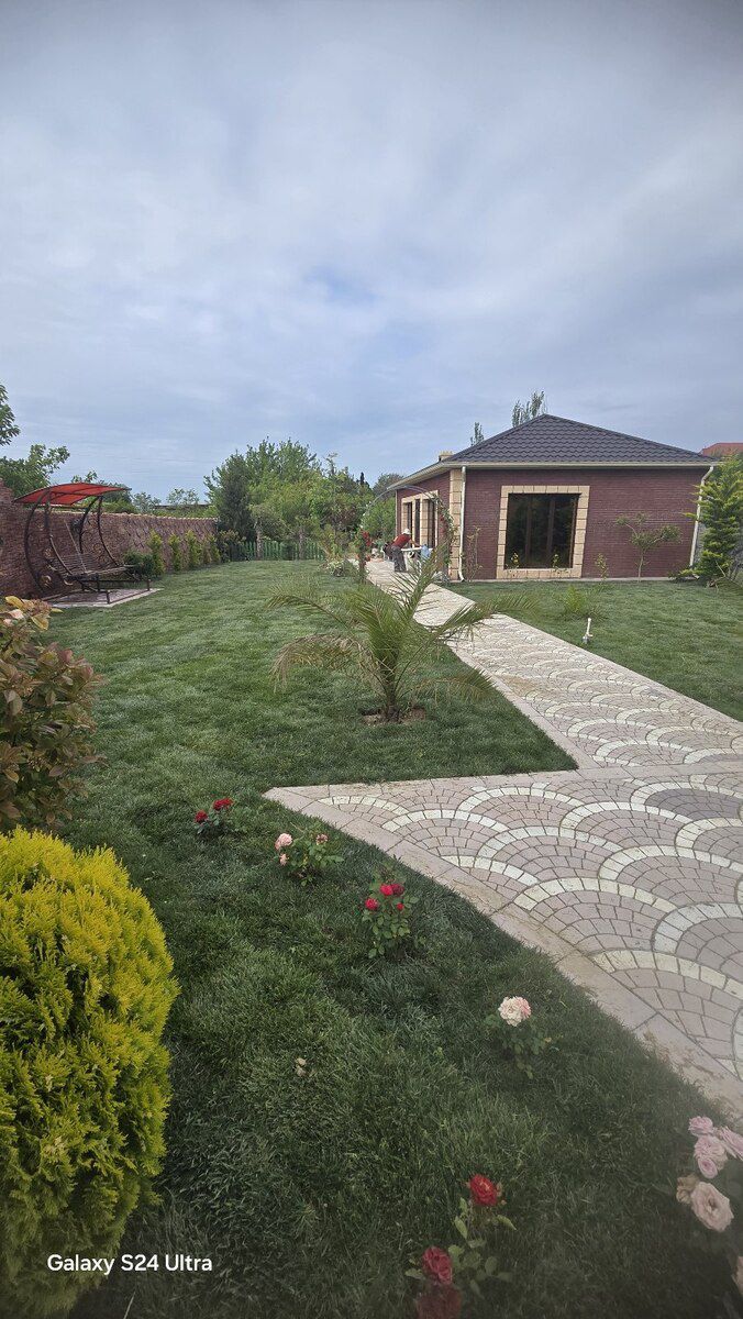Qazon — Bitkilər, Bakı (11)