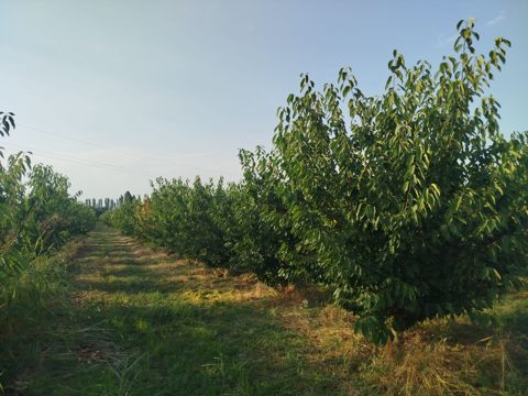 85 sot torpaq sahəsi, Qusar r — Qusar
