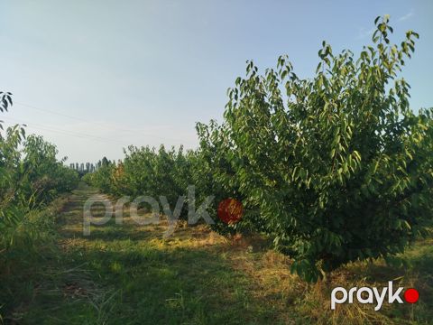 85 sot torpaq sahəsi, Qusar r