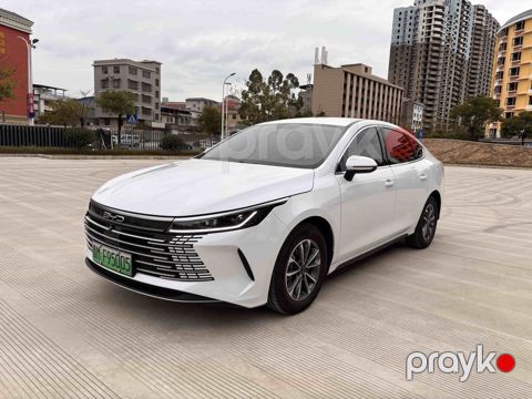 BYD Destroyer 05: 1.5 l 2025 il Sedan