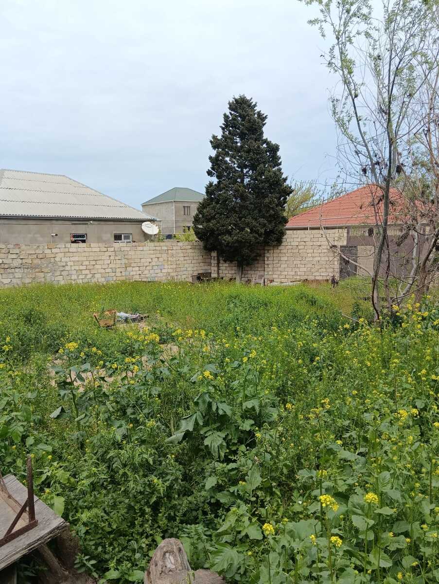 3 sot torpaq sahəsi, Sumqayıt ş — Torpaq, Sumqayıt (2)