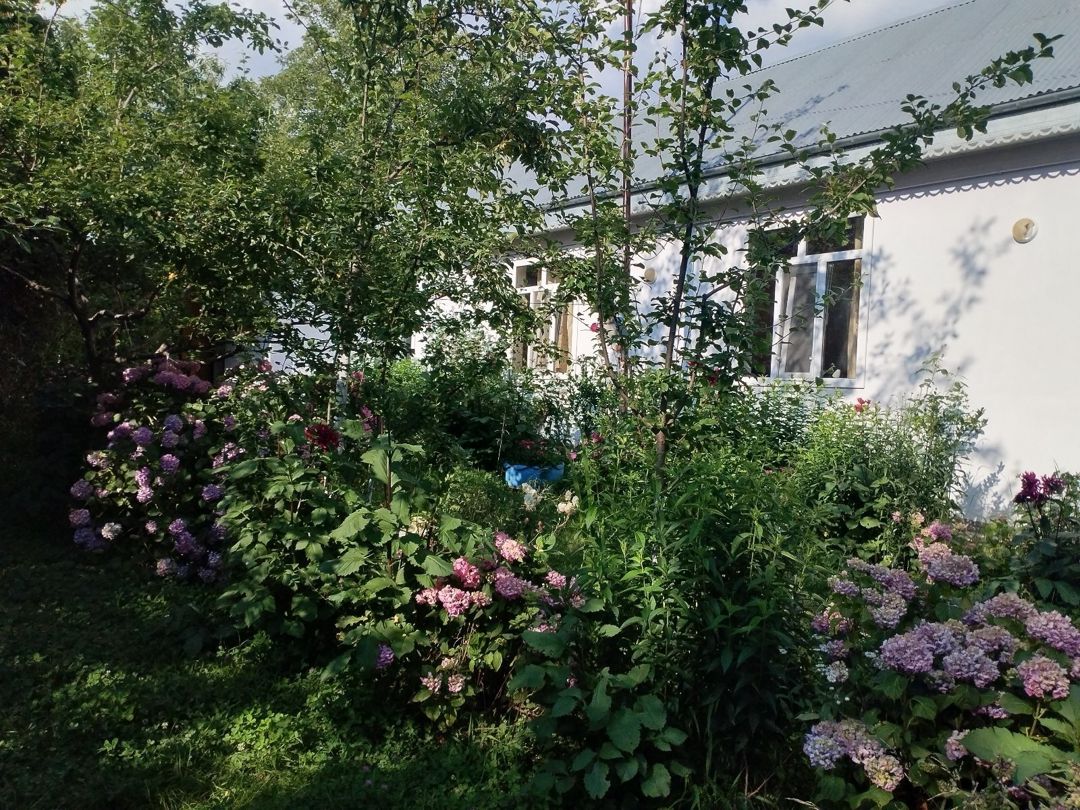 Həyət evi kirayə verilir, Vəndam qəs — Ev, villa, Qəbələ (6)