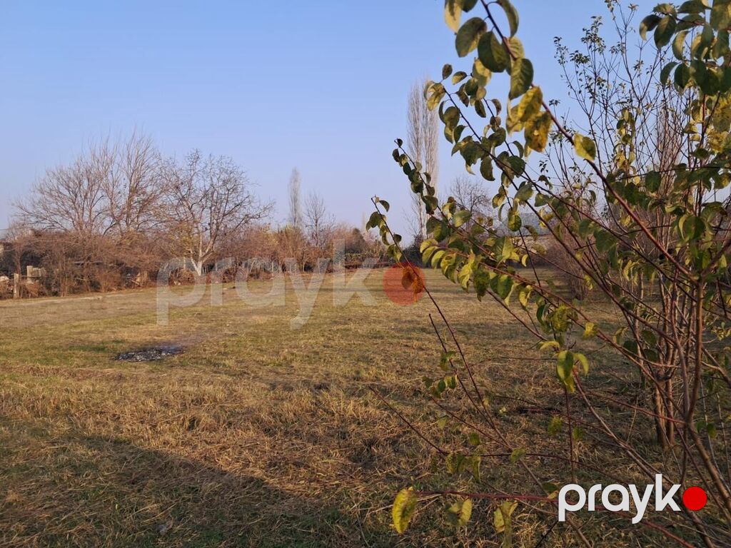 Tikinti — Torpaq, Göyçay (2)