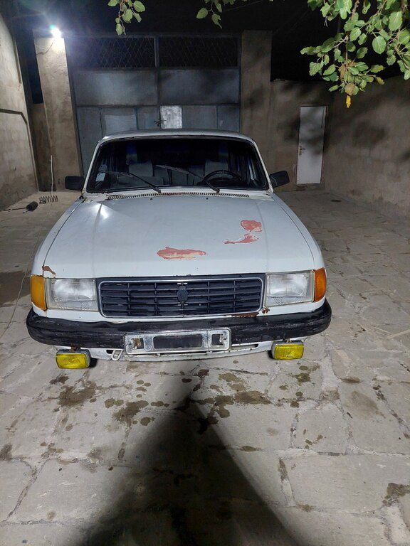 GAZ 31029 "Volga", 2.4 L, 1994 il, 212 522 km — Avtomobillər, Bakı (11)