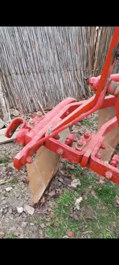 Kotan, 2022 il — Ağsu