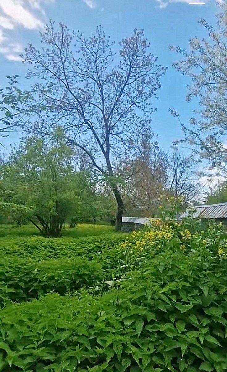 3 sot torpaq sahəsi, Nohurqışlaq k — Torpaq, Qəbələ (2)