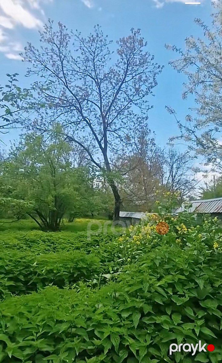 3 sot torpaq sahəsi, Nohurqışlaq k — Torpaq, Qəbələ (2)