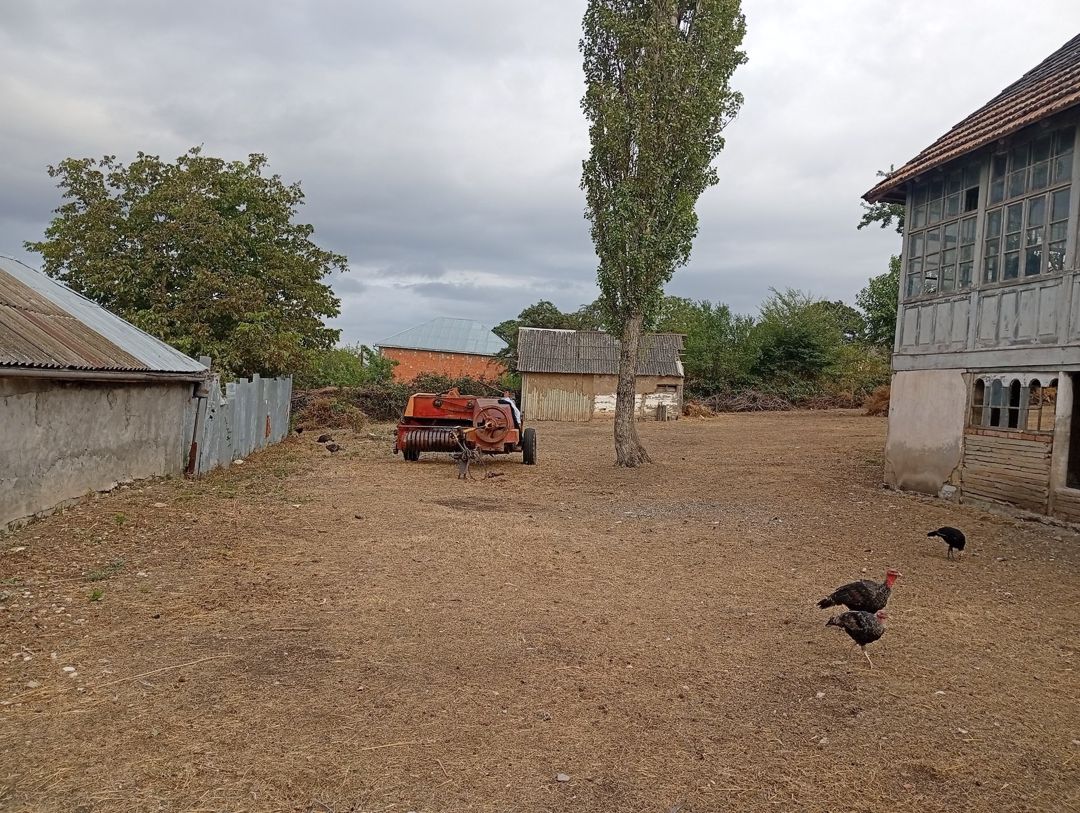 Satılır torpaq 20 sot — Torpaq, İsmayıllı (6)