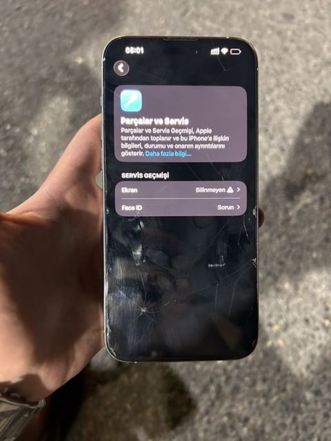 IPhone 15 Pro Max, 256 GB, Gümüşü, Face ID — Bakı