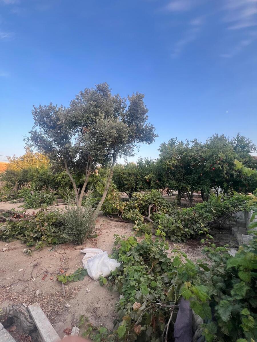 Satılır torpaq 7 sot — Torpaq, Bakı (2)