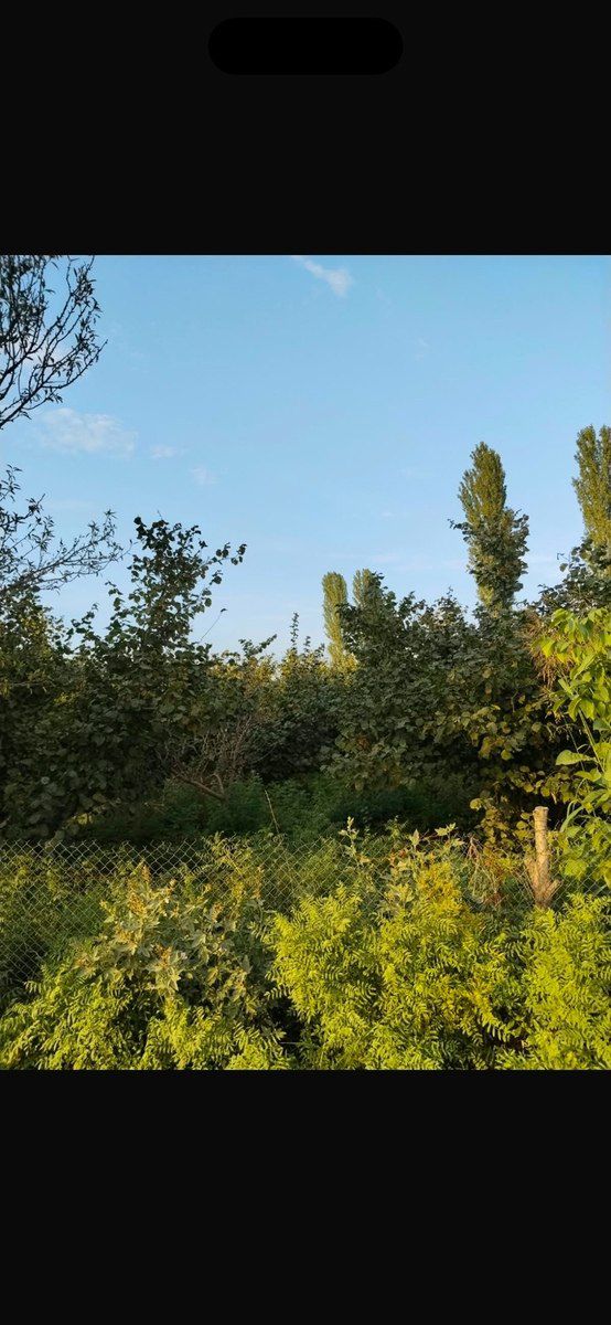 30 sot torpaq sahəsi, Çaxmaxlı kəndi — Torpaq, Xaçmaz (4)