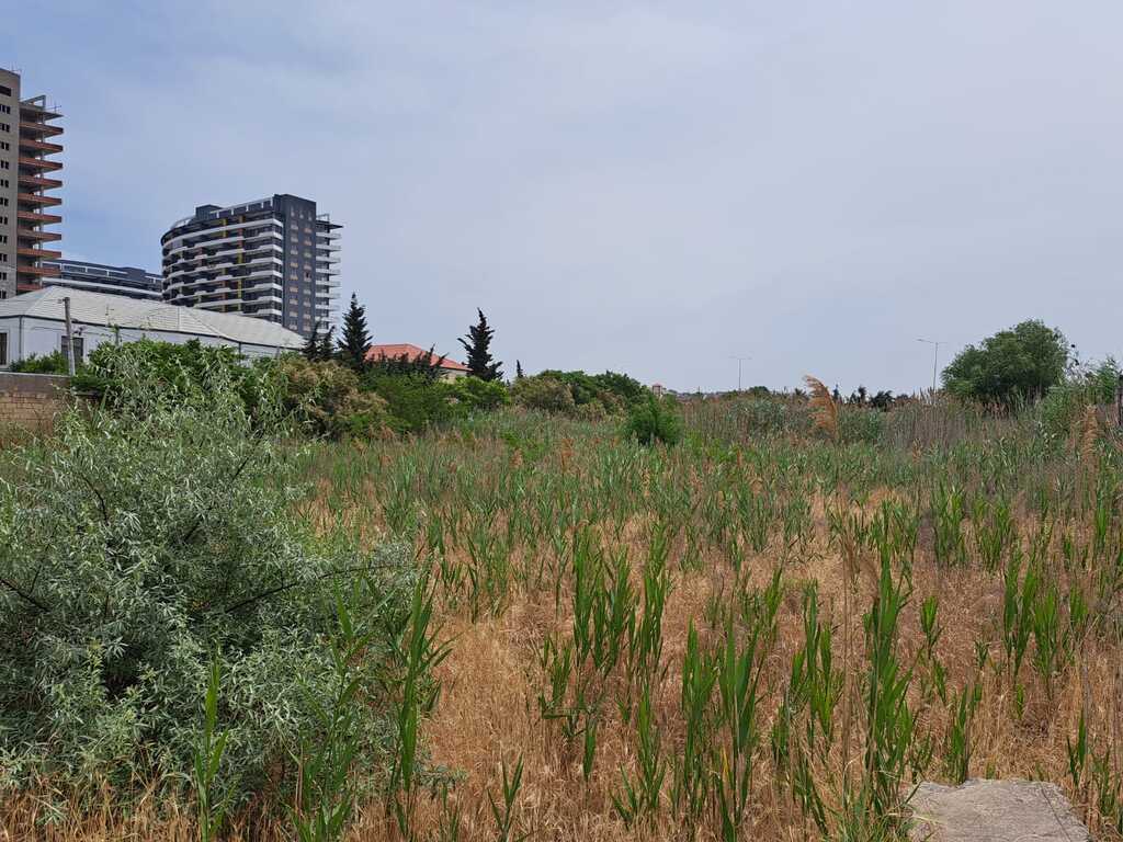 Satılır torpaq 30 sot — Torpaq, Bakı (8)