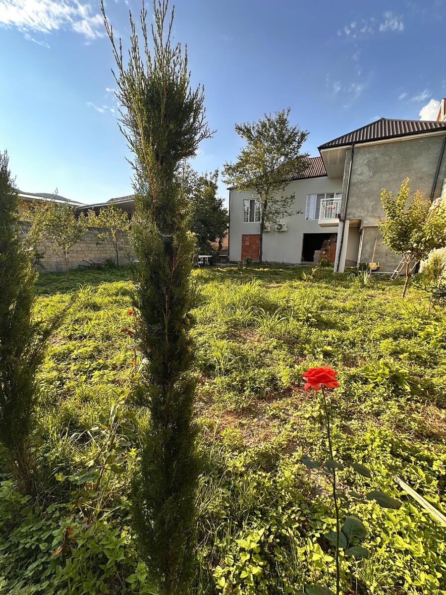 Həyət evi kirayə verilir, Şəki ş — Ev, villa, Şəki (8)