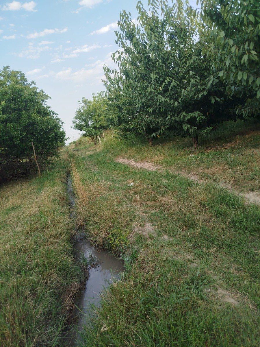85 sot torpaq sahəsi, Qusar r — Torpaq, Qusar (3)