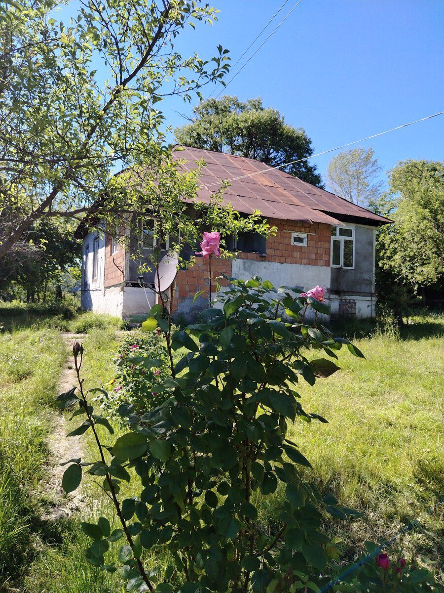 35 sot torpaq sahəsi, Qəbələ r — Torpaq, Qəbələ (10)