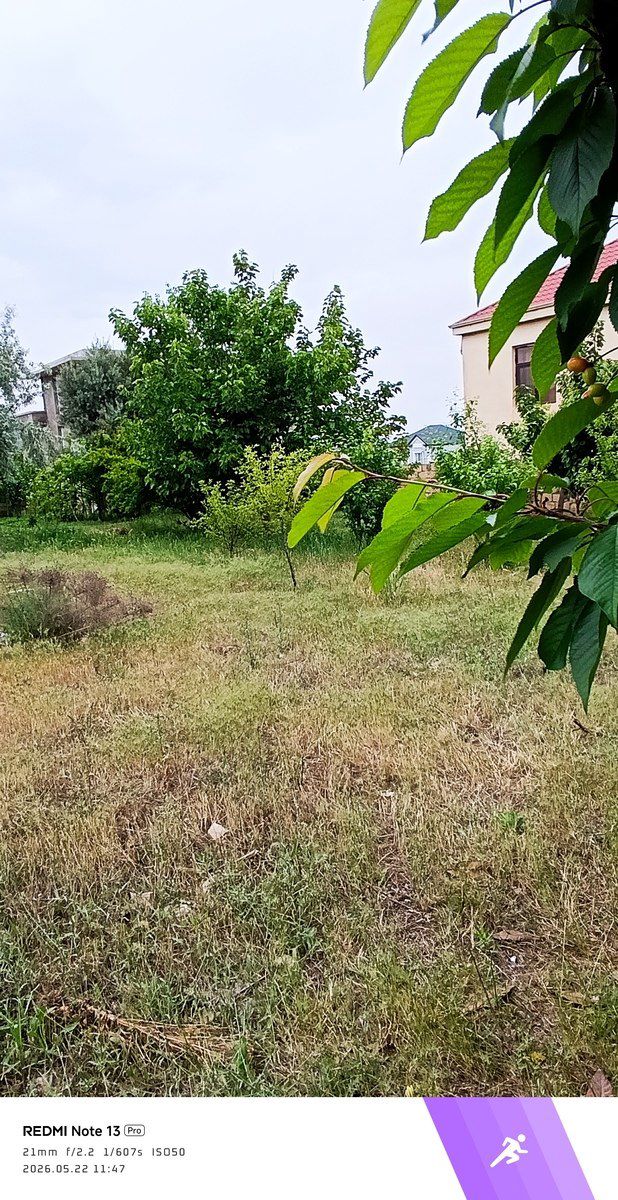 Satılır torpaq 6 sot — Torpaq, Bakı (6)