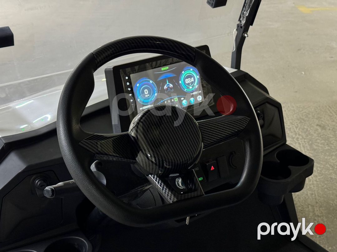 Golf car Buggy, 2025 il — Motosiklet və mopedlər, Bakı (7)