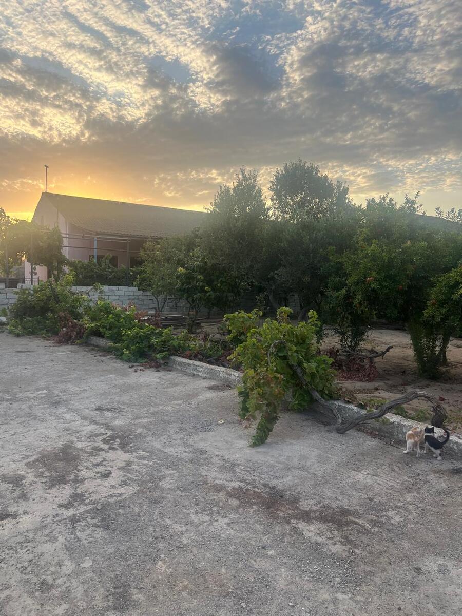 Satılır torpaq 7 sot — Torpaq, Bakı (7)