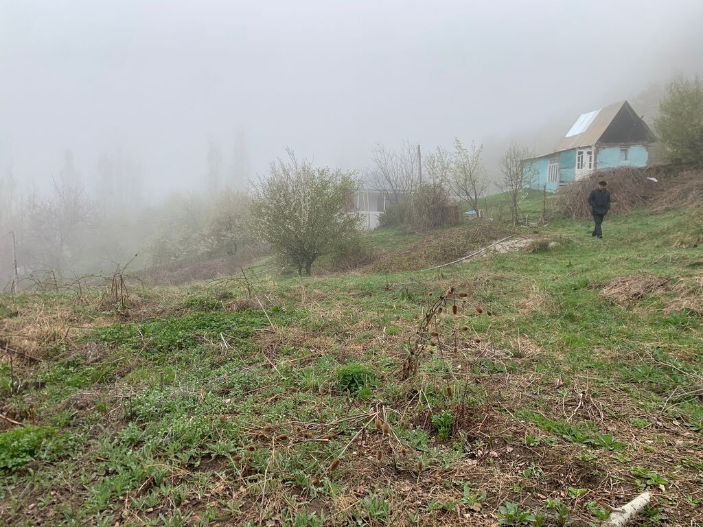 Satılır torpaq 12 sot — Torpaq, Şamaxı (3)