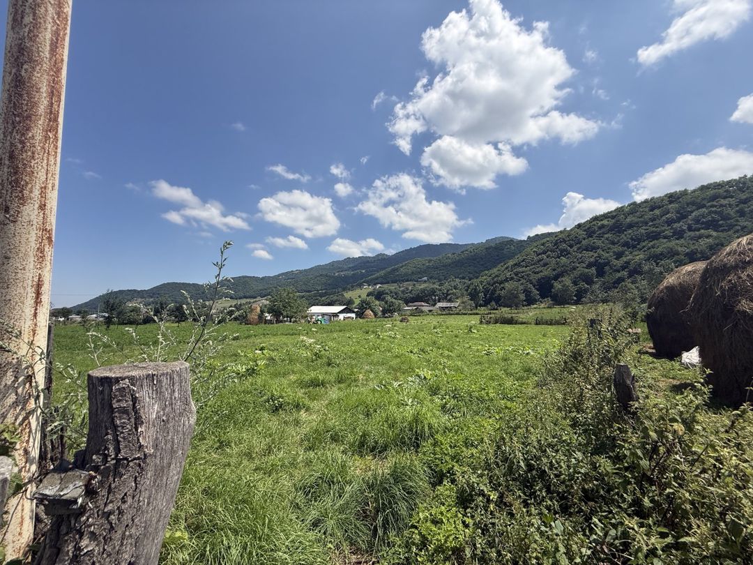 Satılır torpaq 21 sot — Torpaq, Qusar (4)