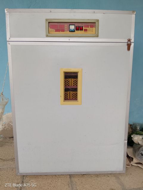 Tam avtomat — Bakı